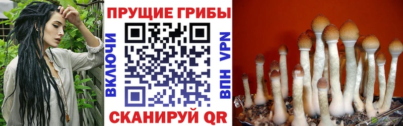Галлюциногенные грибы Magic Shrooms  Липецк 